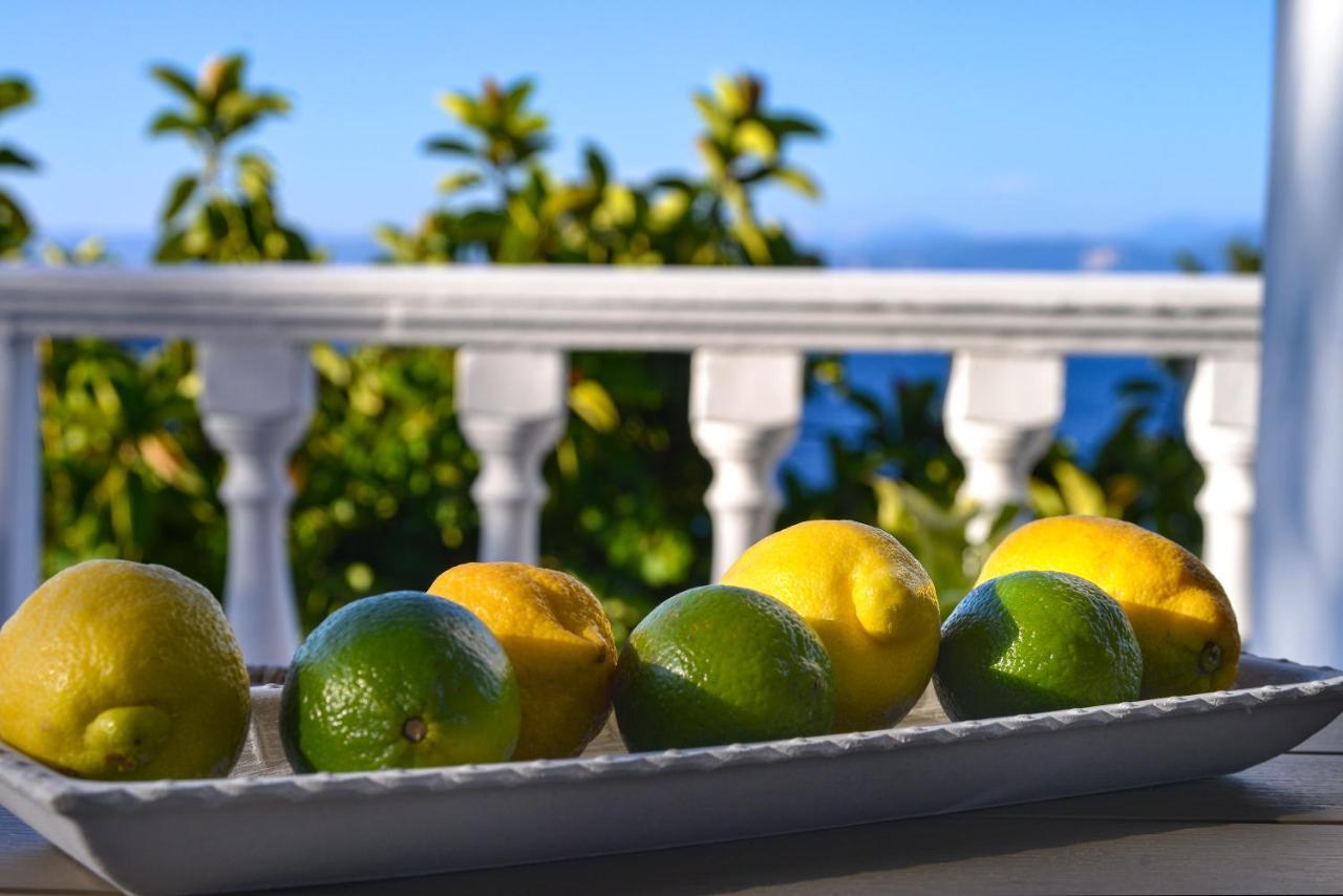 Appartement New! Paxoswhite Sea View & Studios!